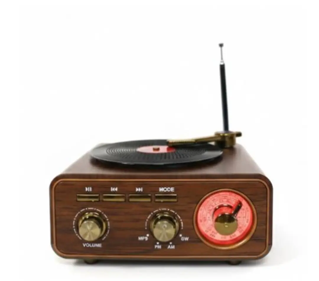 Everton RT-1317bt  Bluetooth Usb-Micro Plak Radyo 1
