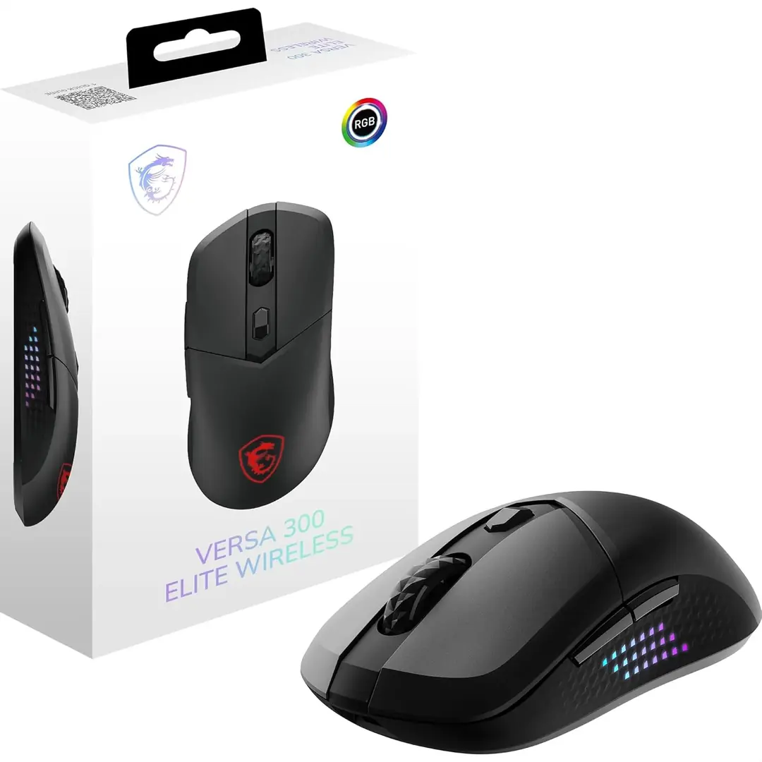 MSI GG VERSA 300 ELITE W