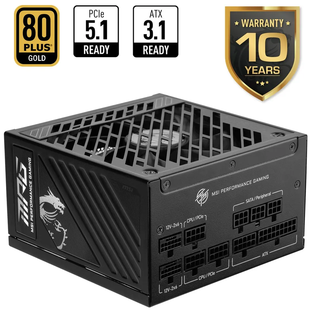 MSI PSU MPG A1250GS PCIE5 1