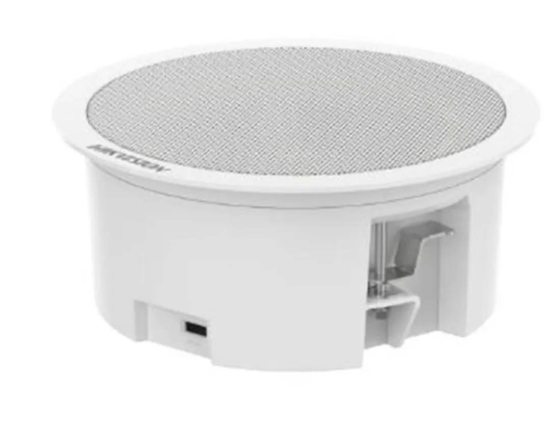 Hikvision DS-QAZ0206G1-S 6W Network Asma Tavan İkincil Hoparlörü