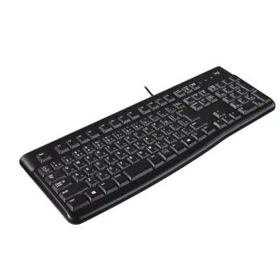 LOGITECH K120 USB KABLOLU TÜRKÇE Q KLAVYE -SİYAH 920-002505